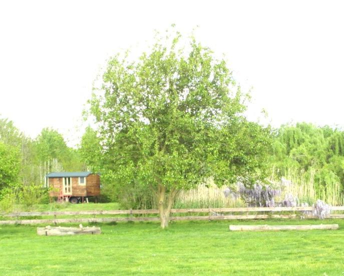 Casetta Sul Lago Albairate Экстерьер фото